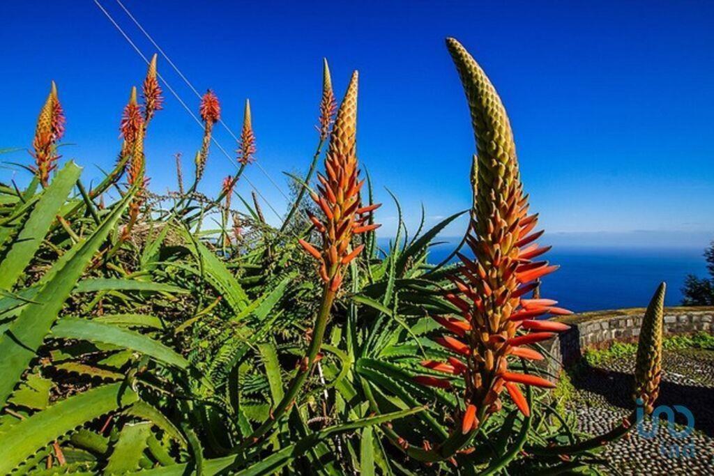 Apartment With Ocean View And Parking Funchal (Madeira) Exterior foto